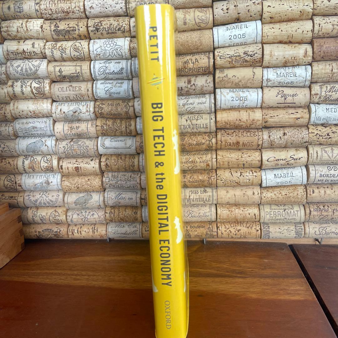 コンピュータ・IT BIG TECH & the DIGITAL ECONOMY