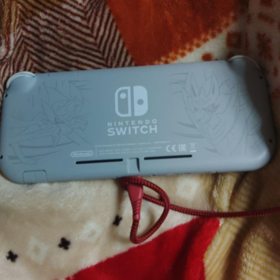 チ*チ様 Nintendo Switch Lite グレー/青/赤