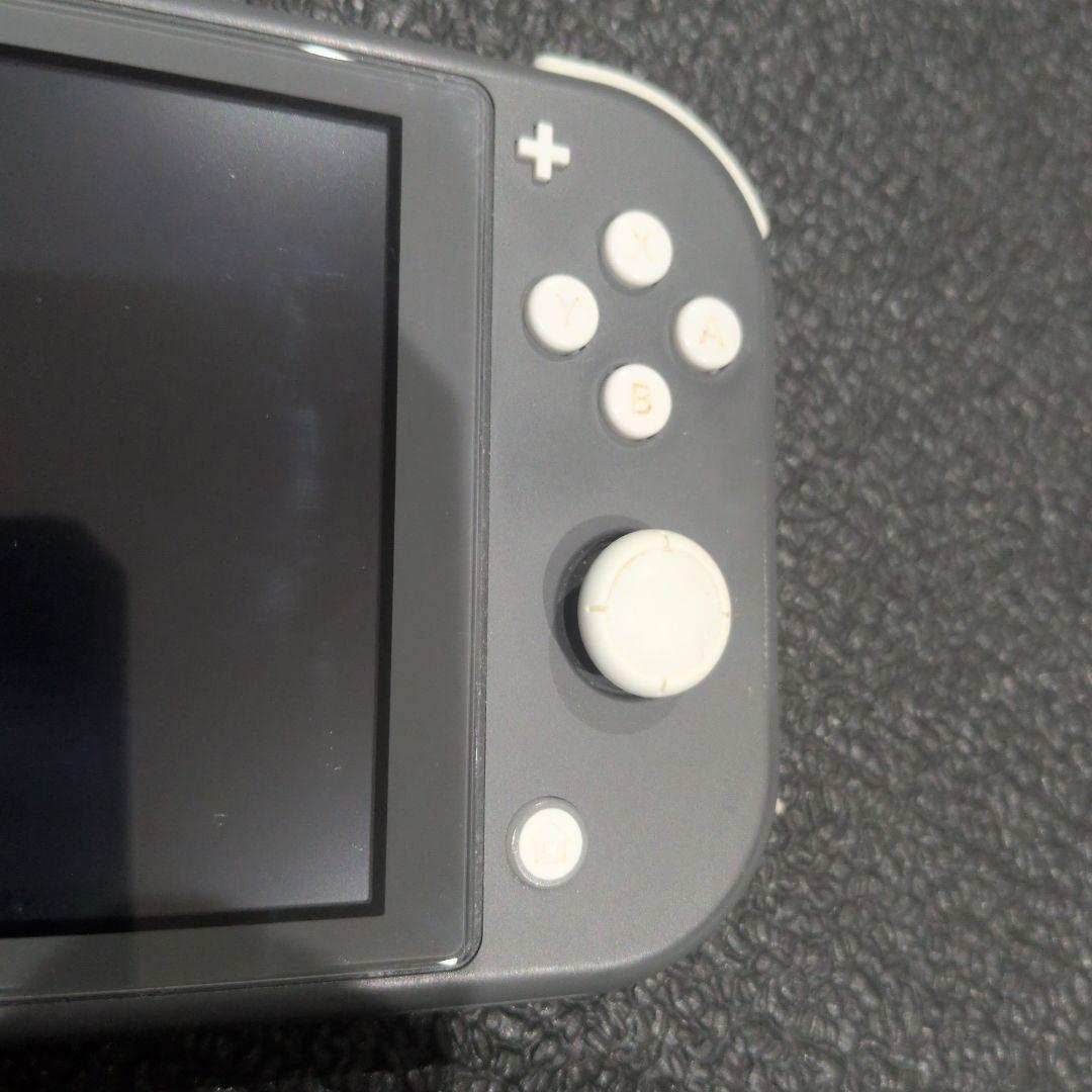 Nintendo Switch Lite グレー 本体のみ　カバー付