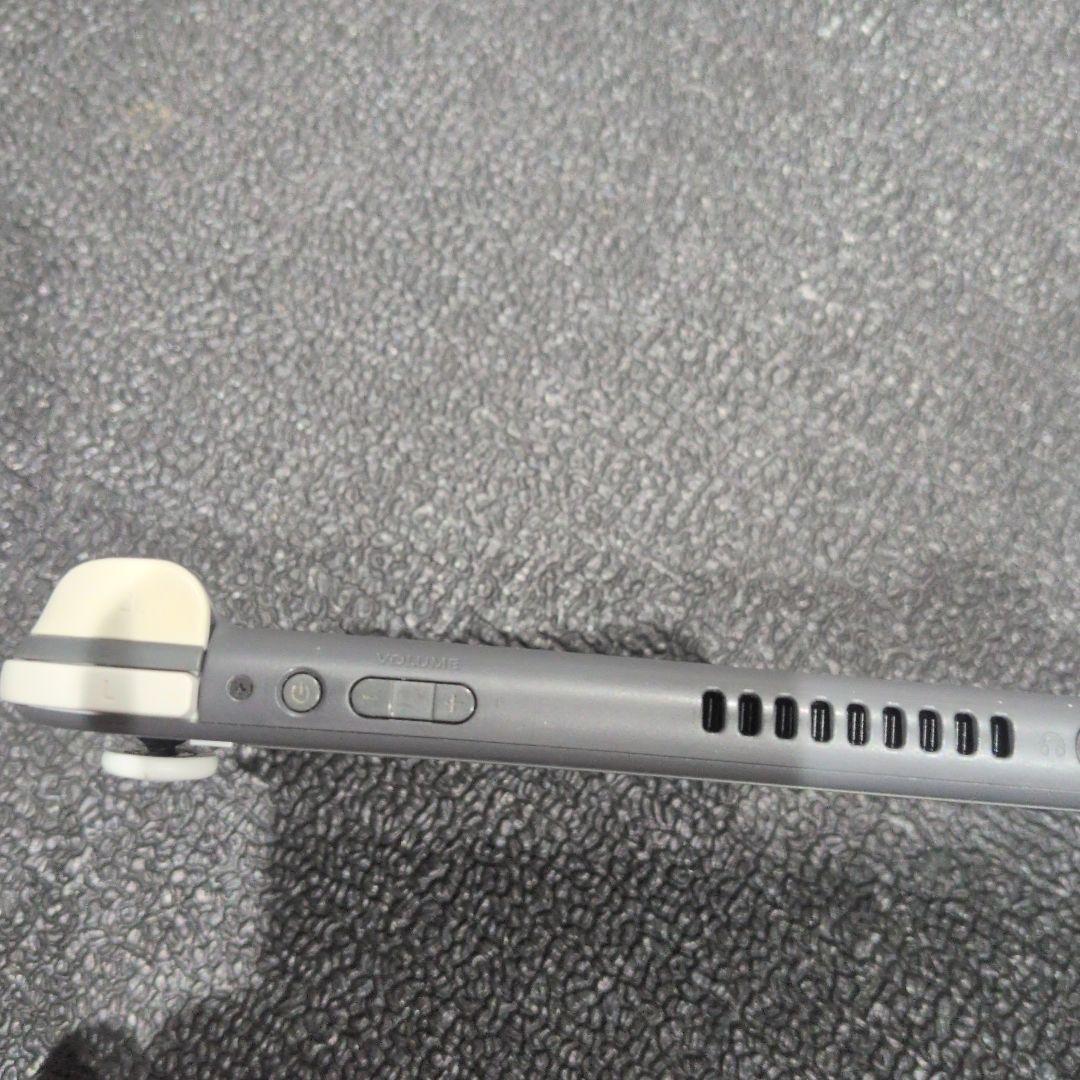 Nintendo Switch Lite グレー 本体のみ　カバー付