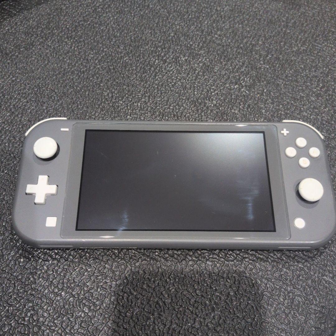 Nintendo Switch Lite グレー 本体のみ　カバー付