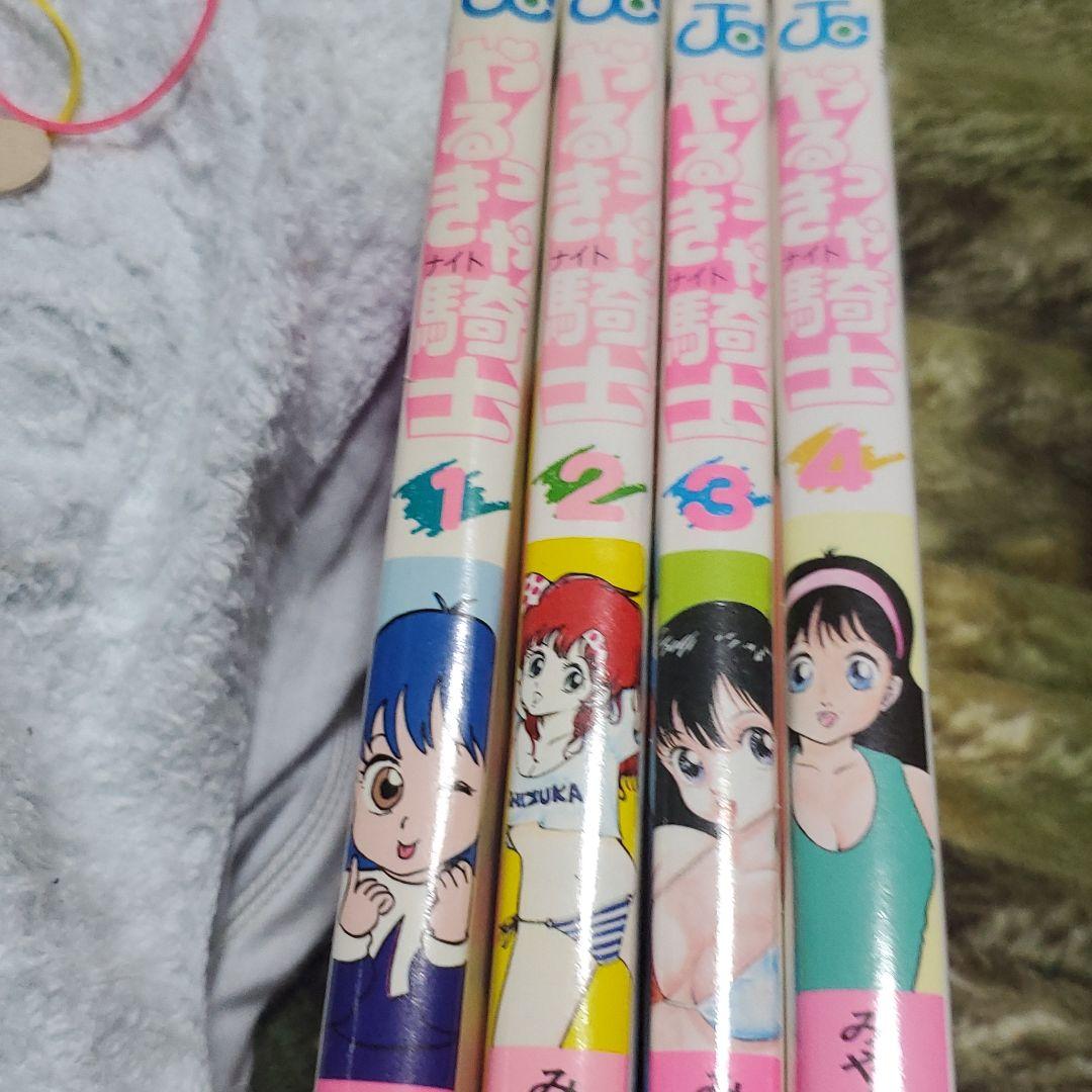 やるっきゃ騎士 1~4