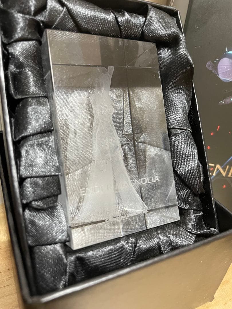 【超希少‼️】エンダーリリィズ&エンダーマグノリア限定版ファミ通DXパックセット