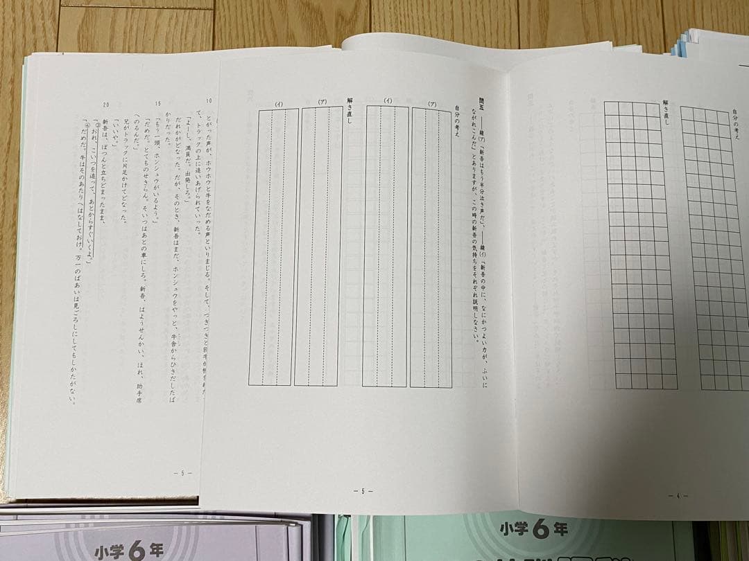 2024年度受験 サピックス 6年 SS開成テキスト
