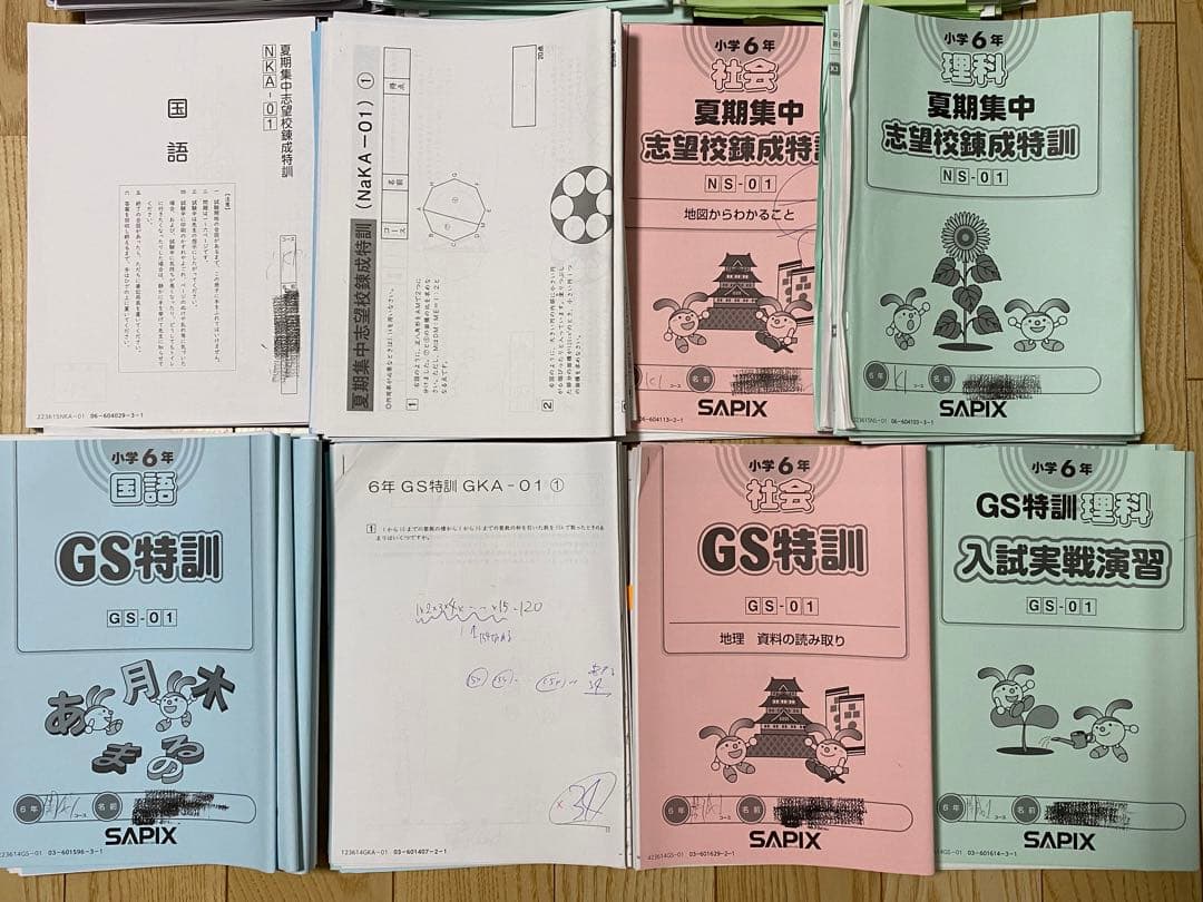 2024年度受験 サピックス 6年 SS開成テキスト