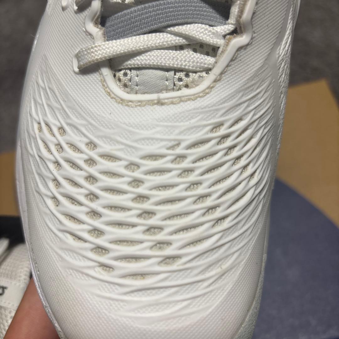 ゲルレゾリューションX