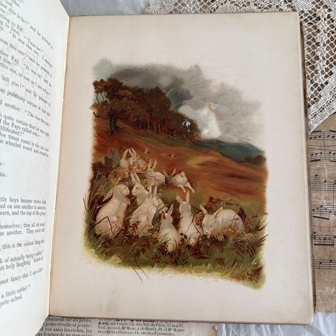 稀少1882年アンティーク美しい絵本クロモリトグラフ洋書ジャンクジャーナル古書