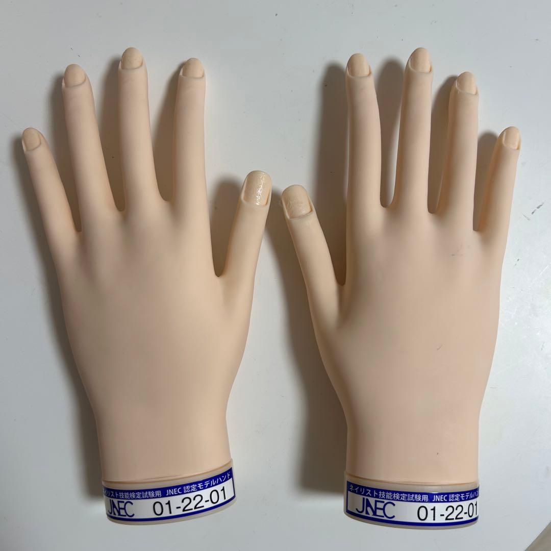 ネイリスト技能検定試験モデルハンド JNEC認定モデルハンド(両手)骨折なし