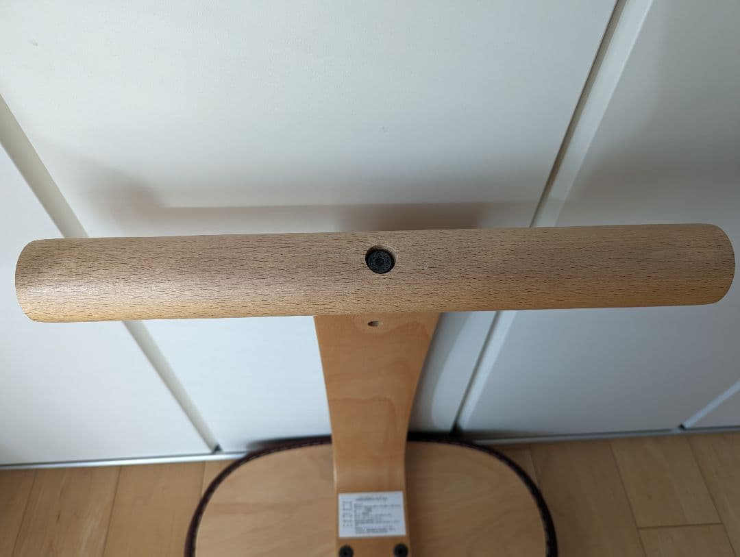 サカモトハウス　バランスイージーチェア　専用カバー付