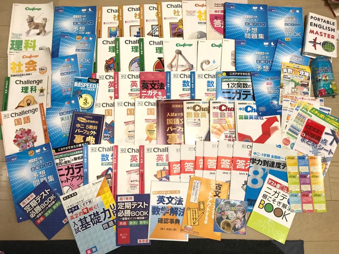 中2 進研ゼミ中学講座　チャレンジ　ベネッセ　国語　数学　社会　理科　英語　問題