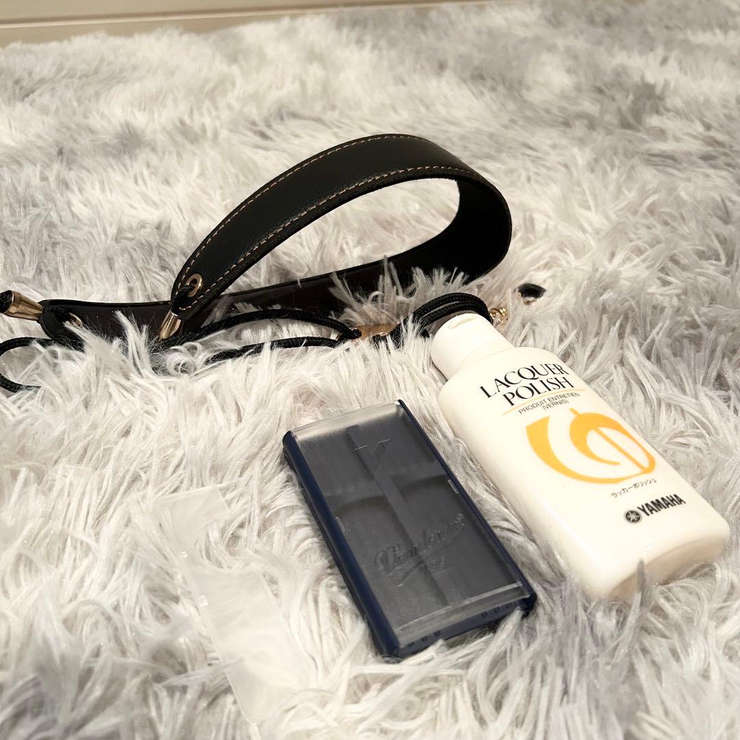 【極美品】 Kaerntner アルトサックス KAL-62 動作確認済み