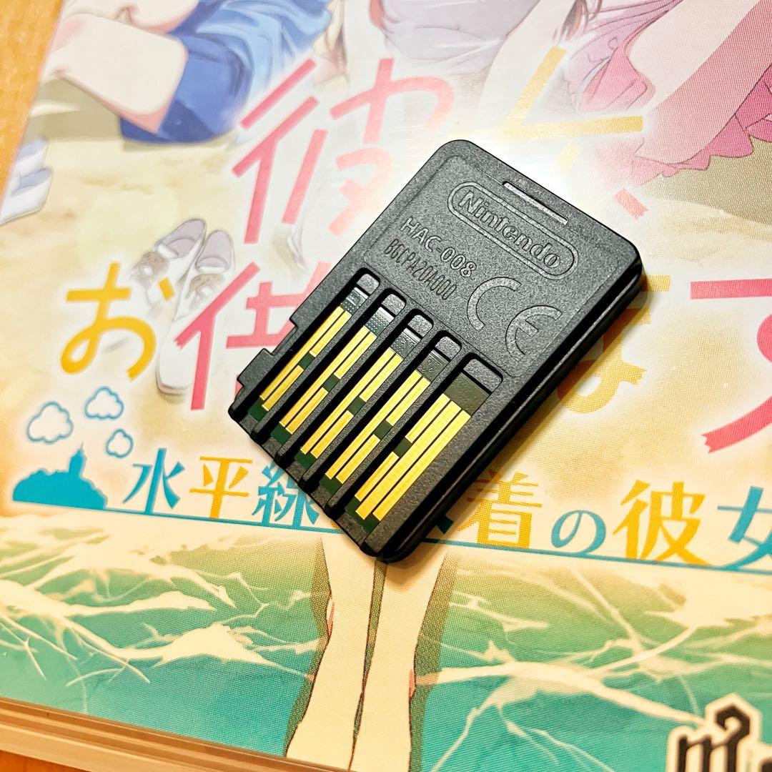 Switch 彼女、お借りします 水平線と水着の彼女 限定版