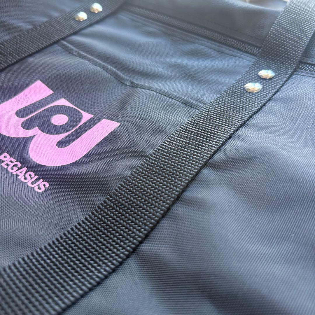 【美品】ワールドペガサス　スクールバッグ　旧版　限定モデル　学生　マルミ運動具店