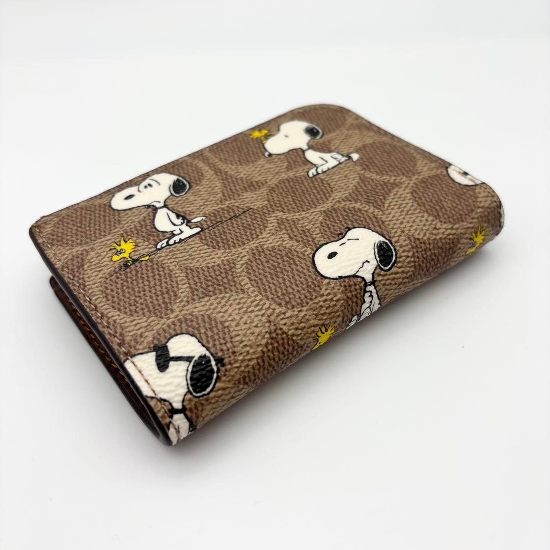 【COACH X PEANUTS】キー ケース！シグネチャー！スヌーピー