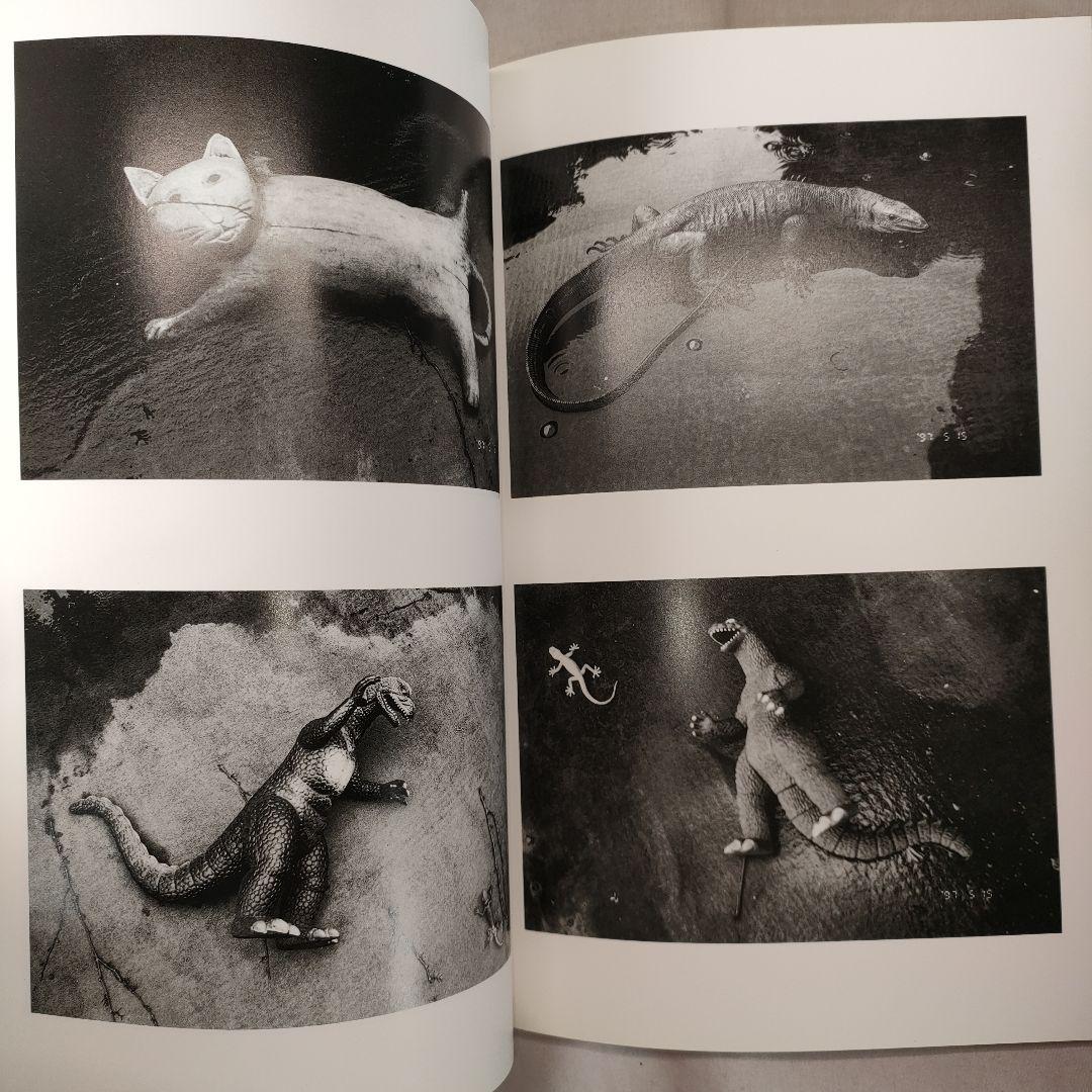 荒木経惟 写真全集 1~20巻セット (5巻抜け)