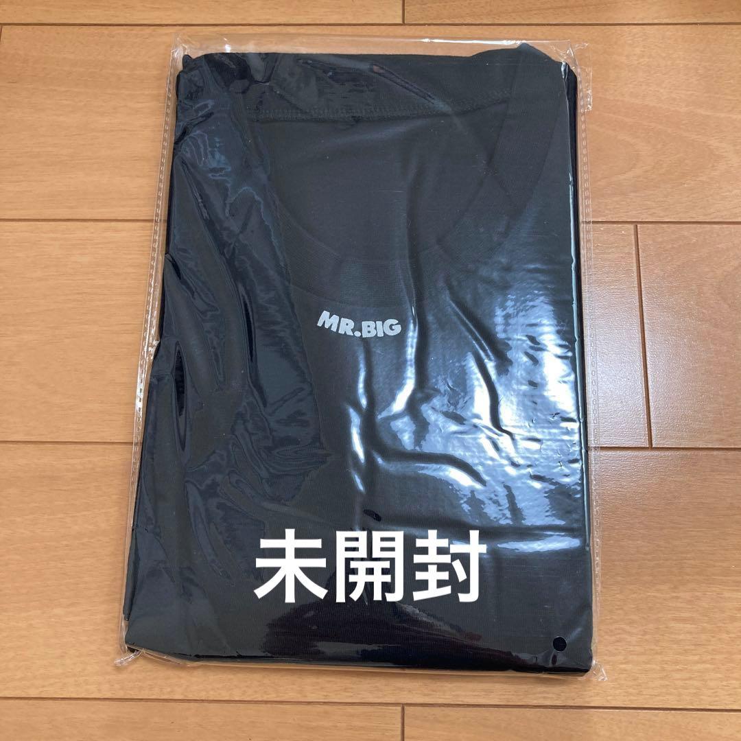 ミスター・ビッグ MR.BIG BOX