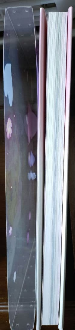 アイカツ！イラスト集 〜ブーケ〜 Bouquet　ブロマイド付