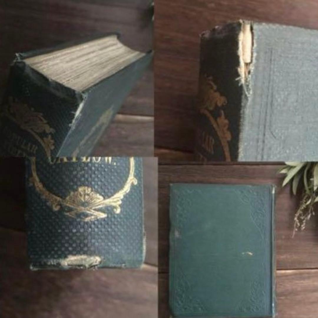 L833洋書古書 【1852年発行】大変希少なイギリスのアンティーク植物図鑑