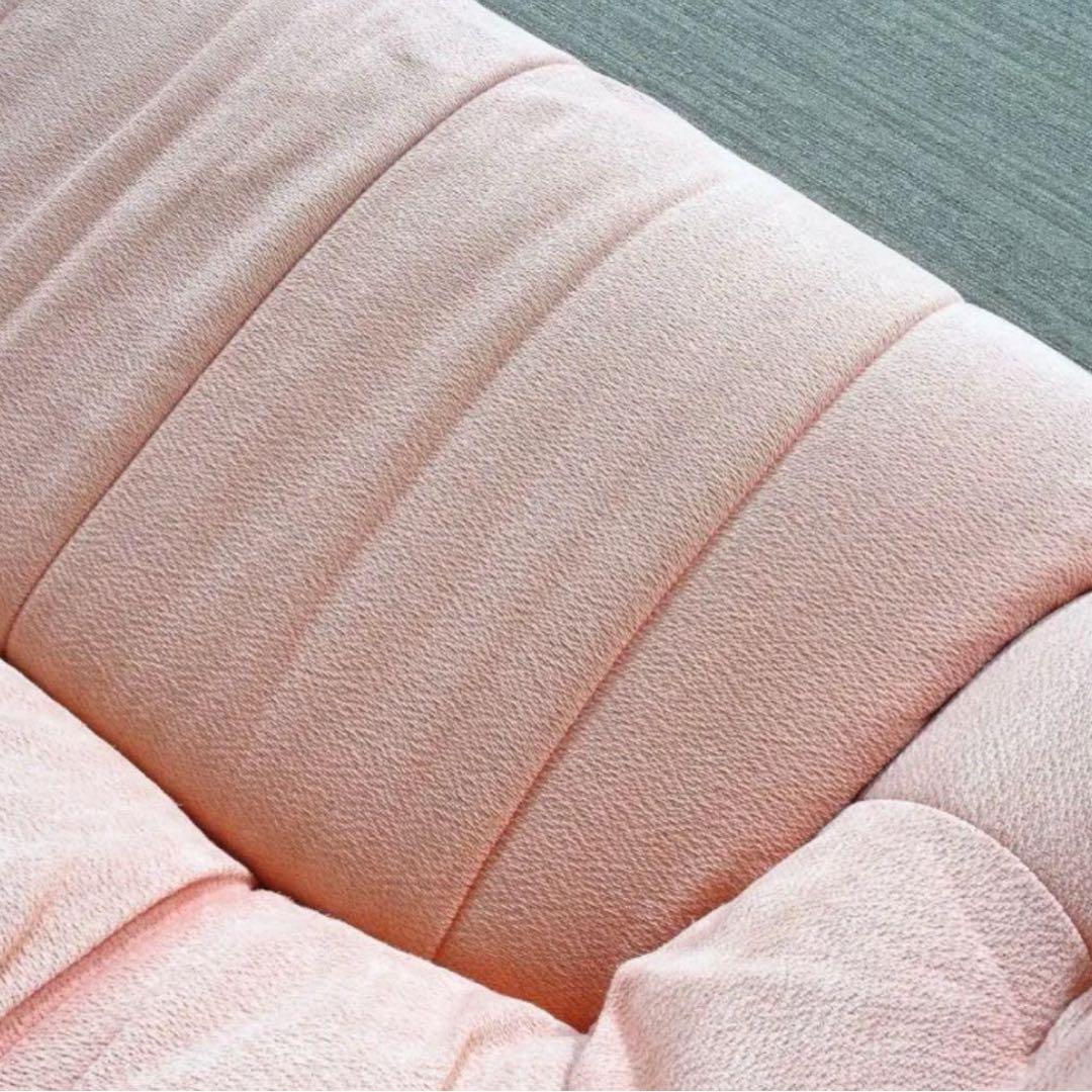 【最終値下げ！】Ligne Roset (リーンロゼ) ブリガンタン　2人掛け