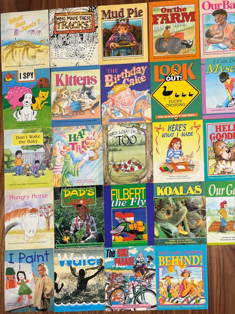 リタラシーリンクス児童英語研究所 A~DセットCD4枚絵本96冊　手引き付き