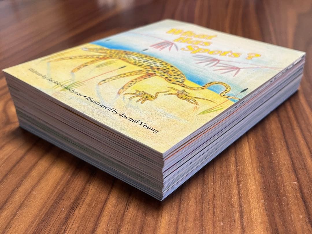 リタラシーリンクス児童英語研究所 A~DセットCD4枚絵本96冊　手引き付き