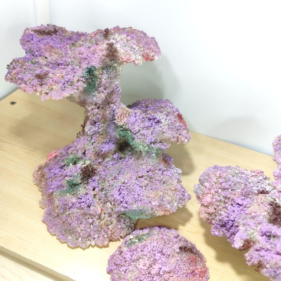 新品アク抜き不要 分離型人工ライブロック 60cm海水水槽用 レプリカ 多孔質5