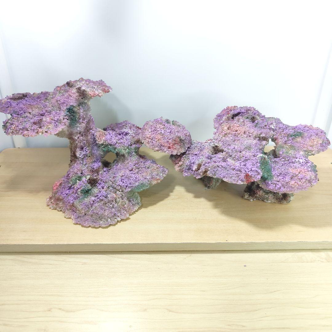 新品アク抜き不要 分離型人工ライブロック 60cm海水水槽用 レプリカ 多孔質5