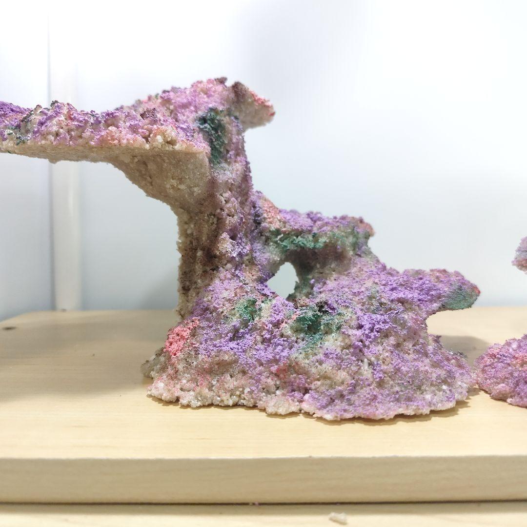 新品アク抜き不要 分離型人工ライブロック 60cm海水水槽用 レプリカ 多孔質5