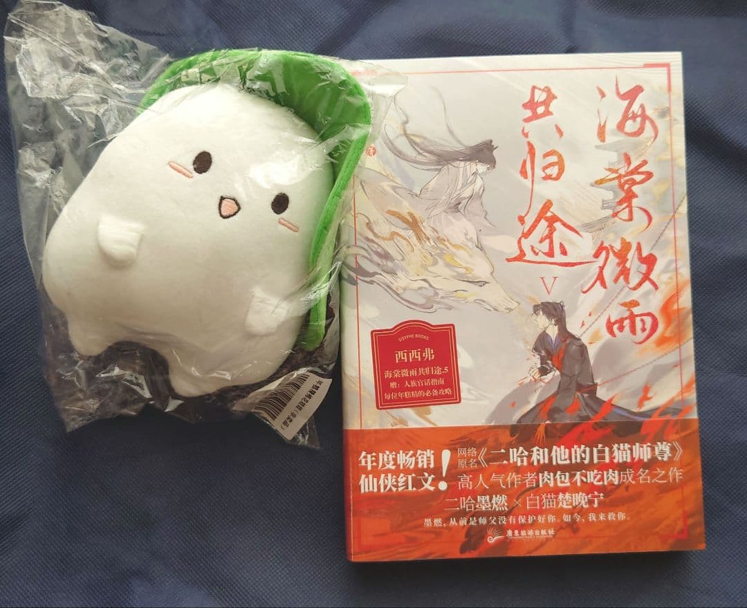 海棠微雨共帰途◇海棠微雨共归途◇西西弗限定◇5巻