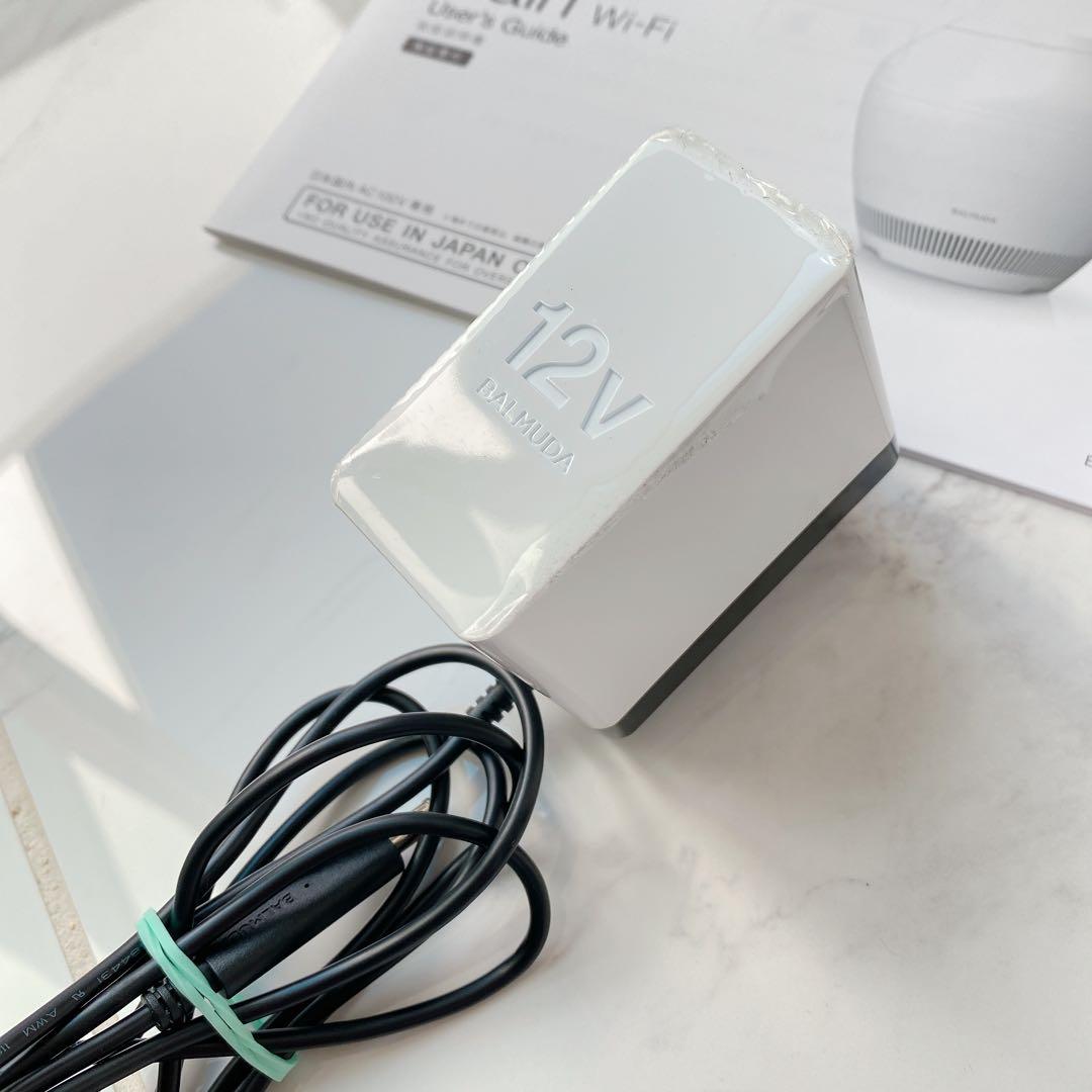 バルミューダRain ERN-1100UA-WK