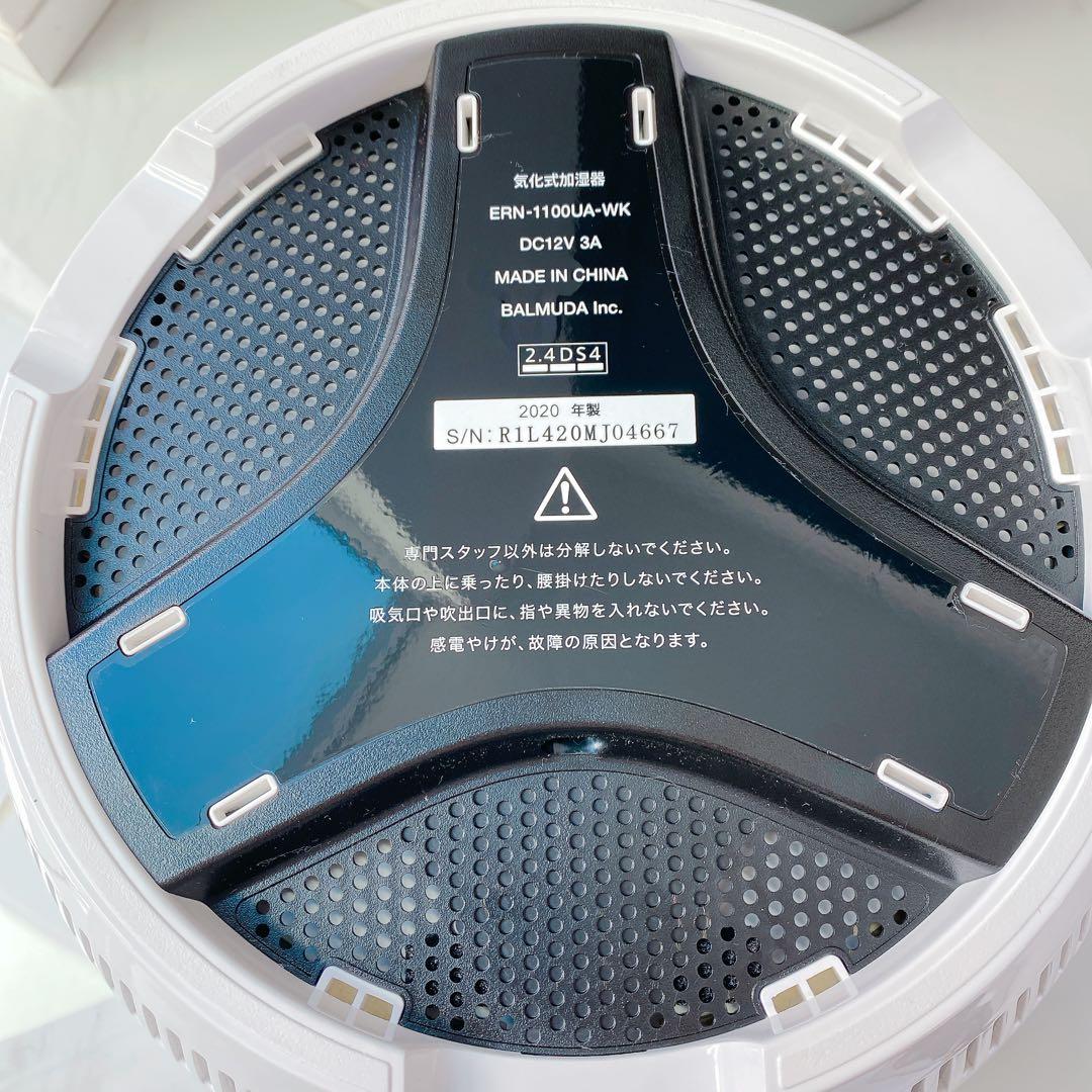 バルミューダRain ERN-1100UA-WK