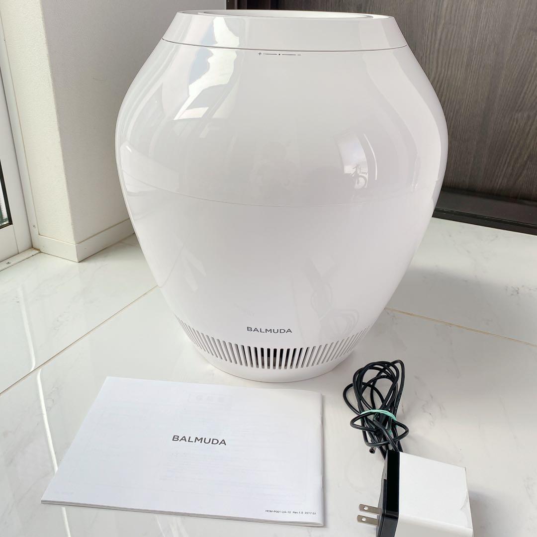 バルミューダRain ERN-1100UA-WK