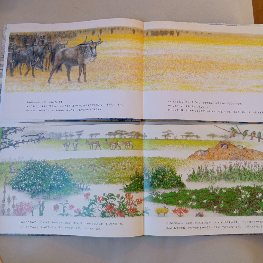 吉田遠志 動物絵本シリーズ 1〜17 アフリカ