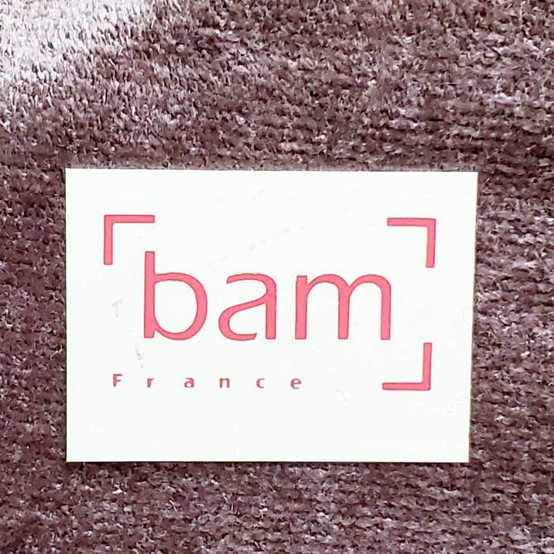 【美品】bam トロンボーン用 セミハードケース軽量・高耐久 持ち運び◎