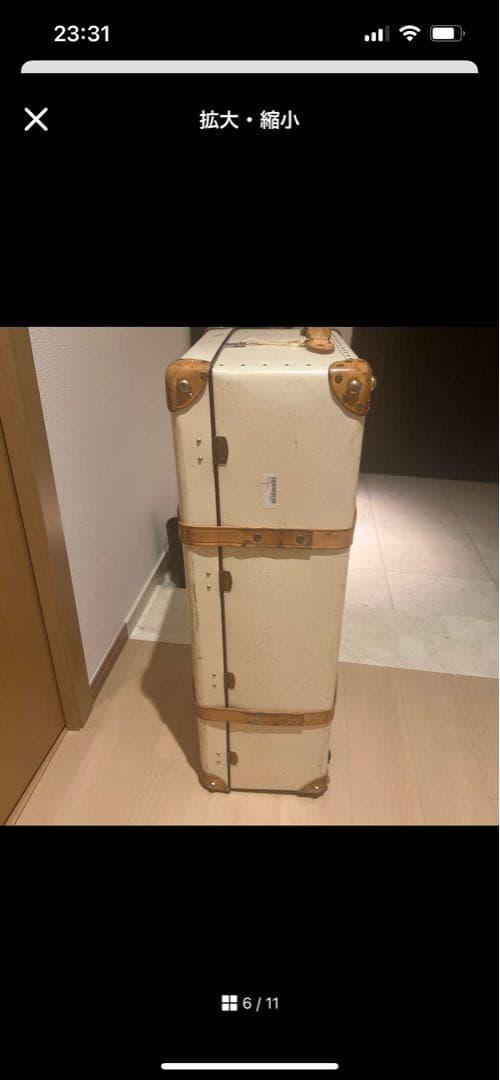 su⭐︎様　グローブトロッター