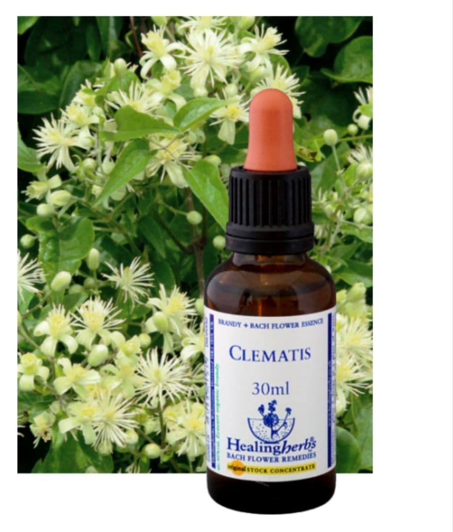 ponponette■30ml×3本ヒーリングハーブス社フラワーエッセンス