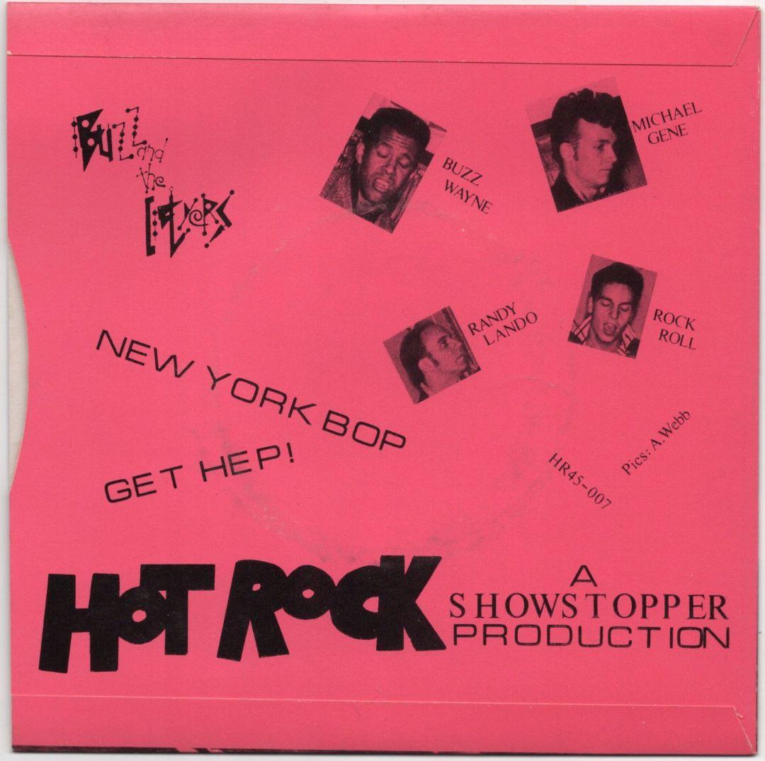 洋楽 BUZZ AND THE FLYERS - GO CAT WILD