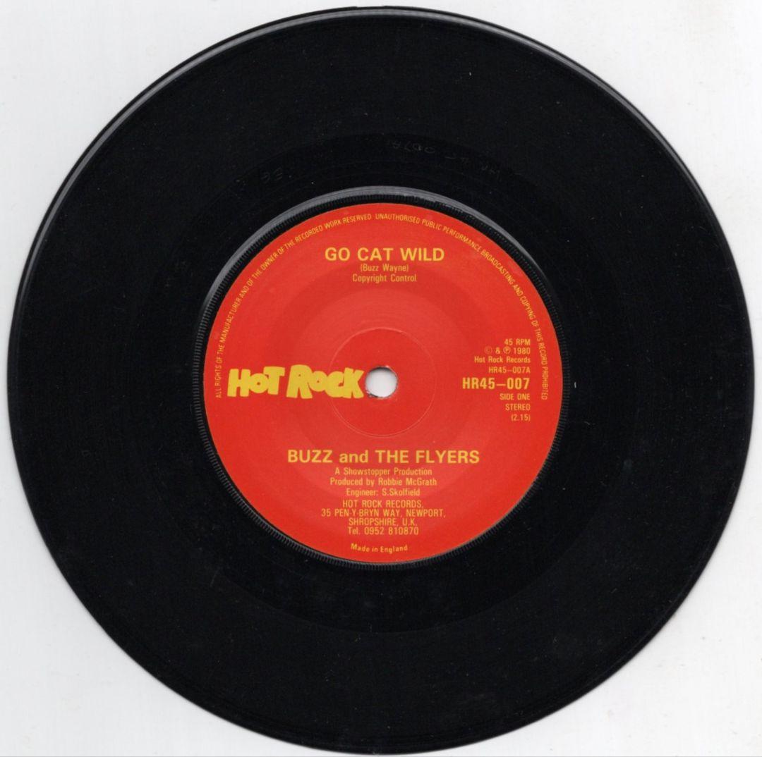 洋楽 BUZZ AND THE FLYERS - GO CAT WILD