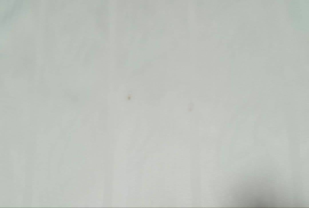 PUMAプーマ 日本代表 実使用 プラクティスシャツ