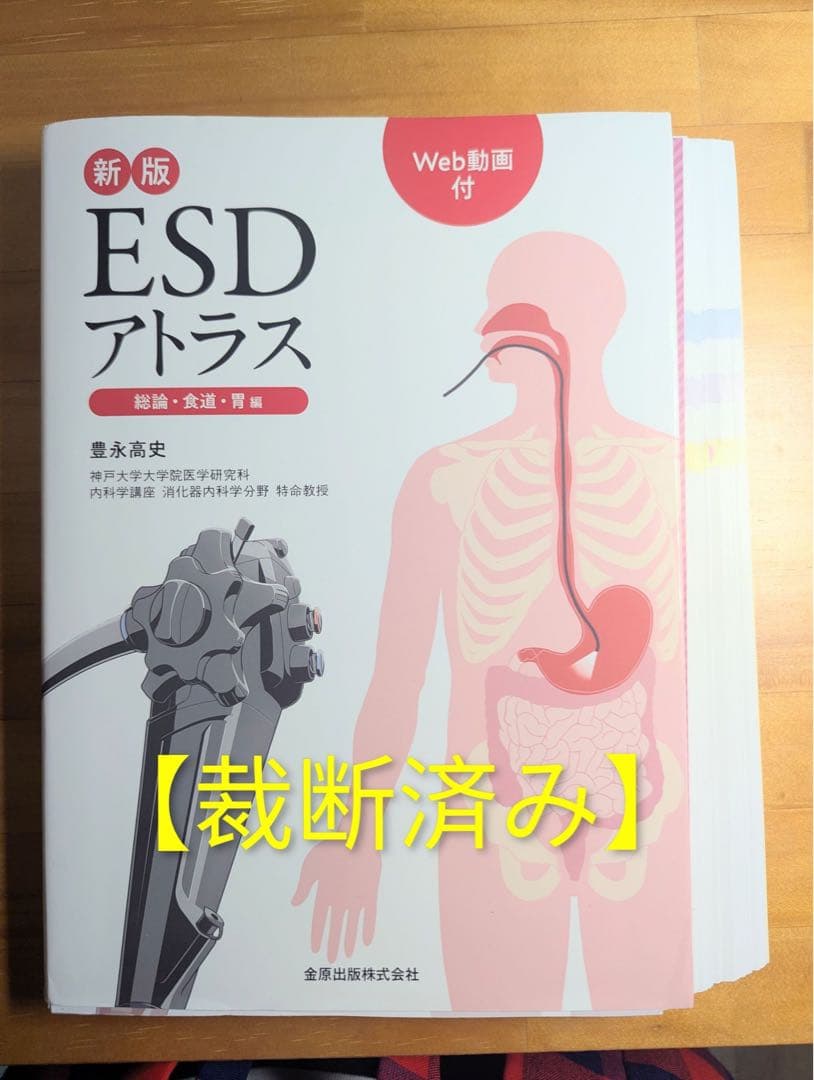 新版 ESD アトラス Web動画付