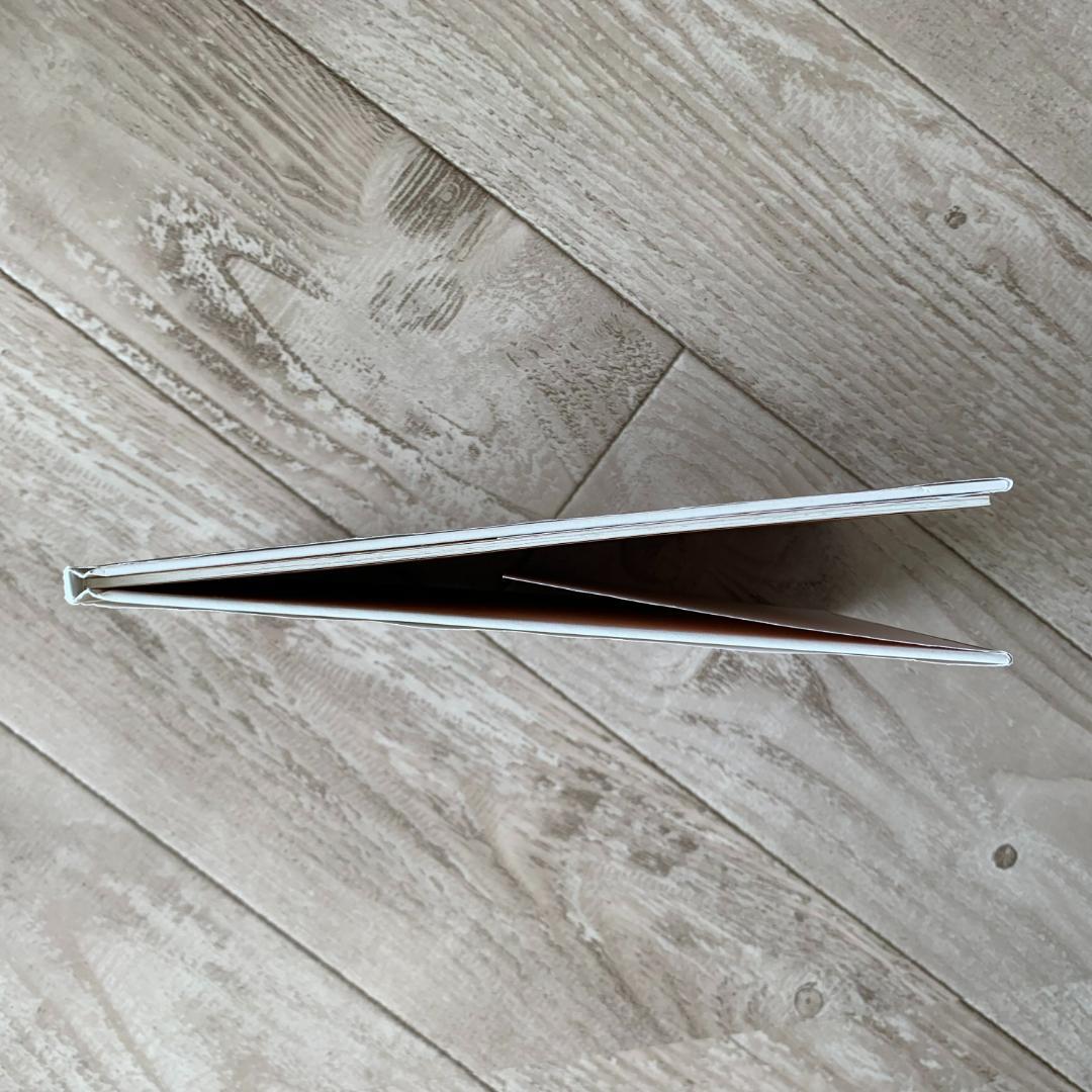 初版、カバー付き。のらねこともんしろちょう