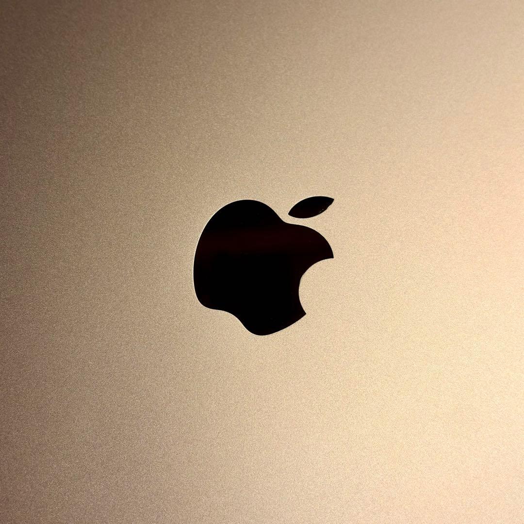 iPad Pro 12.9インチ (第2世代) 512GB