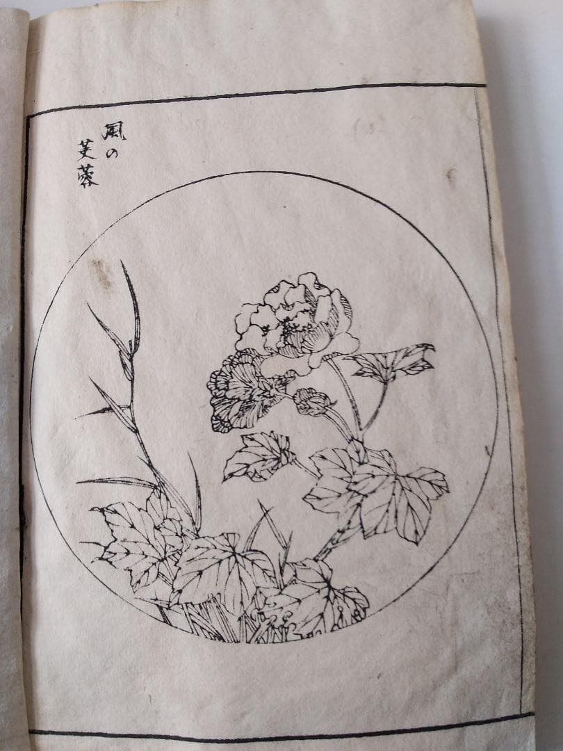 『 春山画譜 全3冊』 直江徳太郎 編輯兼著 近藤清太郎 明治15年 希少 美品