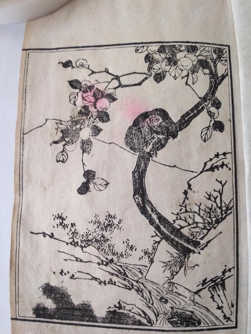 『 春山画譜 全3冊』 直江徳太郎 編輯兼著 近藤清太郎 明治15年 希少 美品