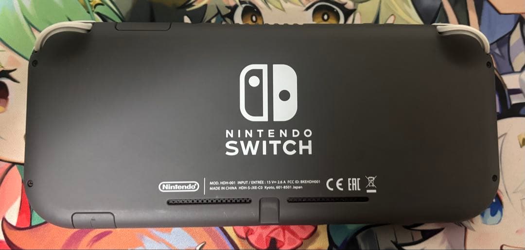 Nintendo Switch Lite グレー充電器、充電スタンド付き