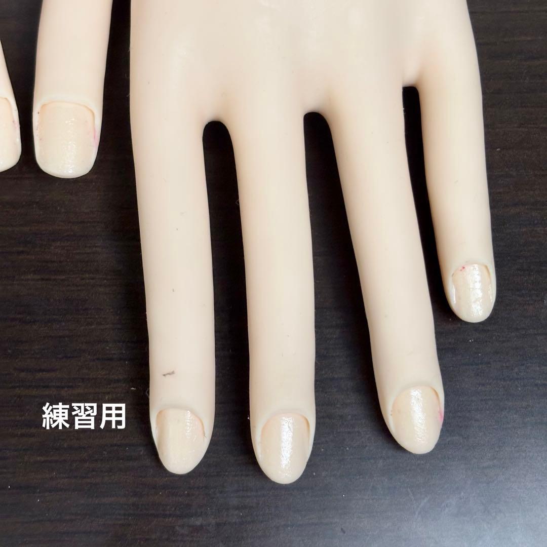 JENEC認定モデルハンド 2個セット ネイルアート練習用 検定用 チップ付き