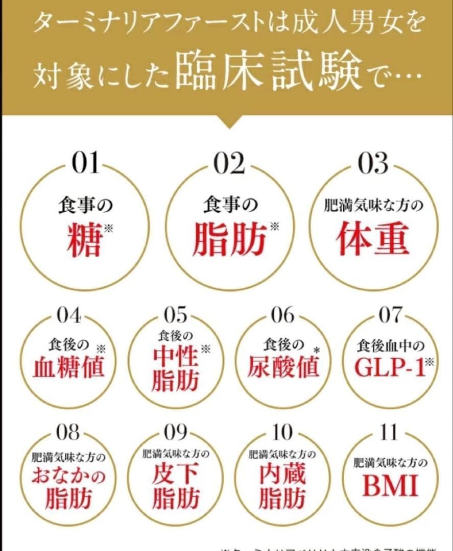 ターミナリアファースト 120粒 3個セット 正規品 ダイエット