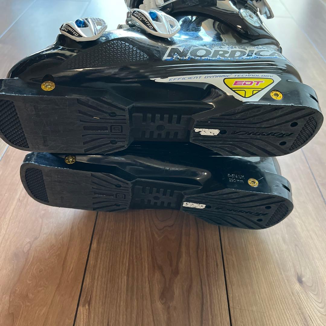 ノルディカ★ドーベルマン ジュニアWORLD CUP 100