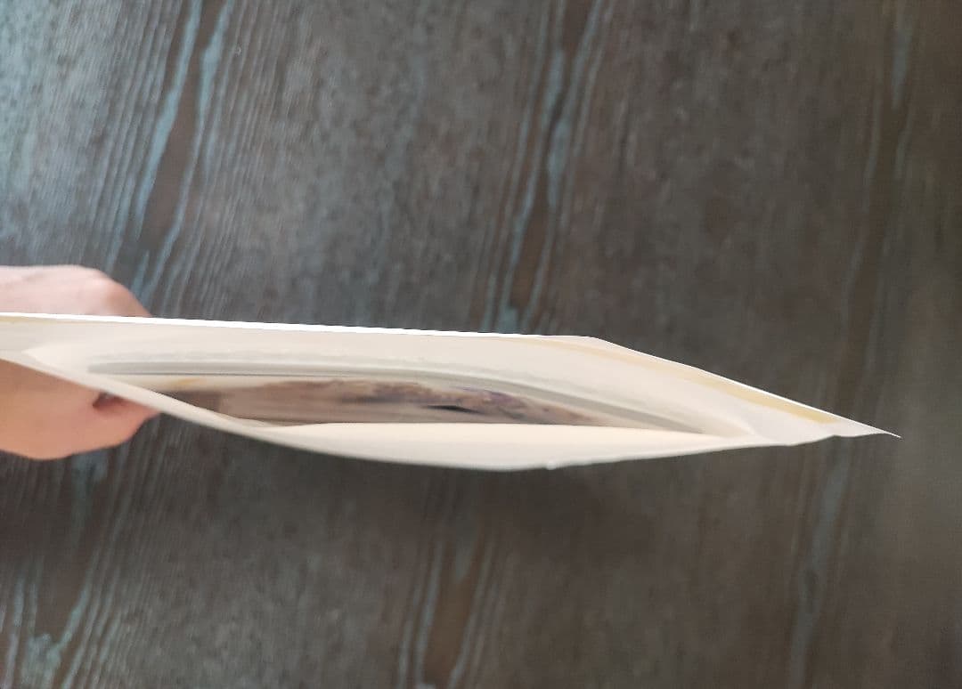 新品/未開封/未使用品 グラブルフェス2024 2025ex パンフレット