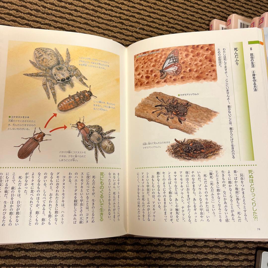 玉川大学出版部 こども博物誌全12巻 辞典 読書 学校 図書 受験 勉強 教科書